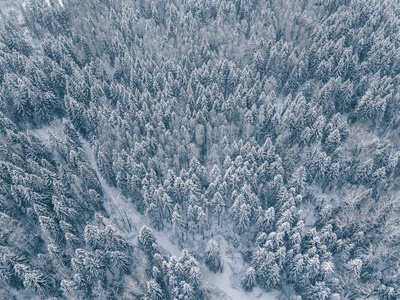 冰雪覆盖的冬季森林鸟瞰