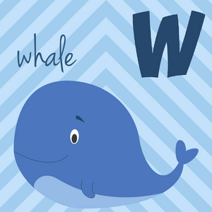 逗人喜爱的卡通动物园图解字母表与滑稽的动物 W 为鲸鱼。英语字母表。学会阅读。孤立向量图