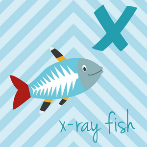 逗人喜爱的卡通动物园图解的字母表与滑稽的动物 x 为 x射线鱼。英语字母表。学会阅读。孤立向量图