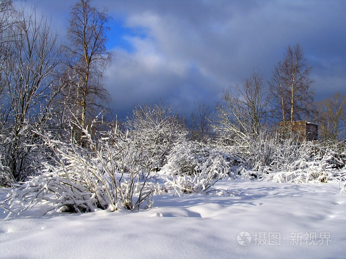 冬季木材后暴风雪