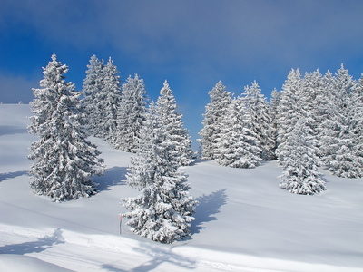 在阿尔卑斯山的冬天