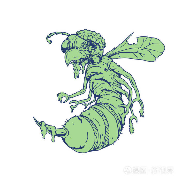 僵尸蜂动画片