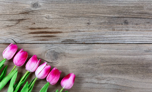 粉红色的郁金香复活节在质朴的木制背景