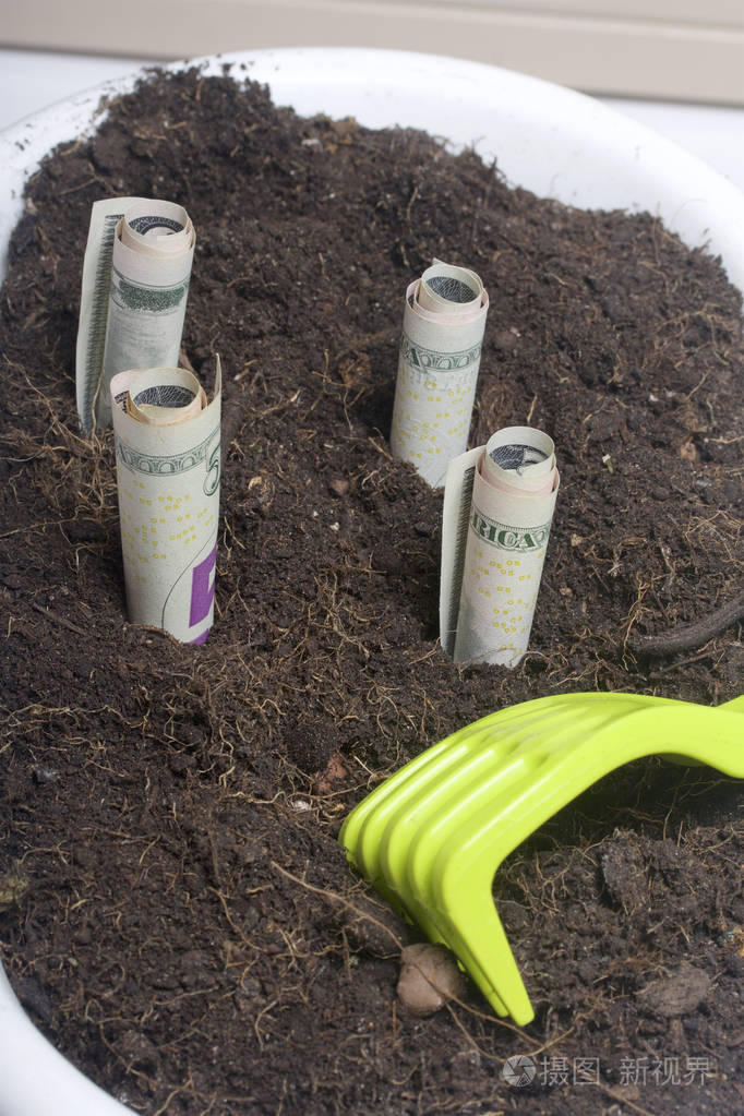 钱长从地里的花盆纸质账单折叠放在一根管子把伸出地面有一个工具培养
