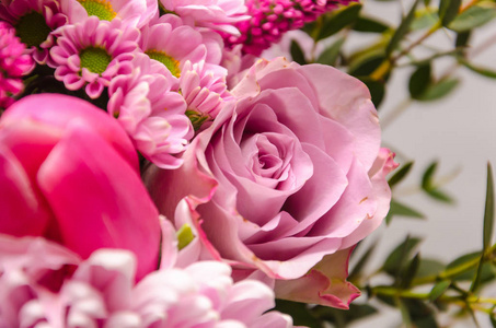 一朵粉红色的玫瑰鲜花的细腻清新的果香