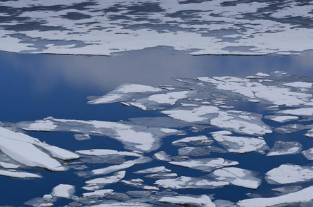 冰在湖 sysenvatnet, 挪威, 斯堪的纳维亚淡水鱼riffleminow(alburno