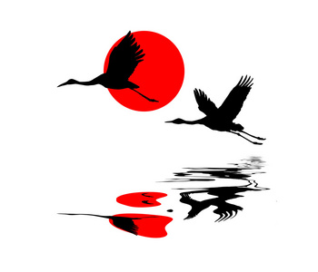 天上的鹤四个剪影湿地动物鹤鹭龟鳄鱼鹤鸟, 矢量, 插图剪影飞鹤红鹤鸟