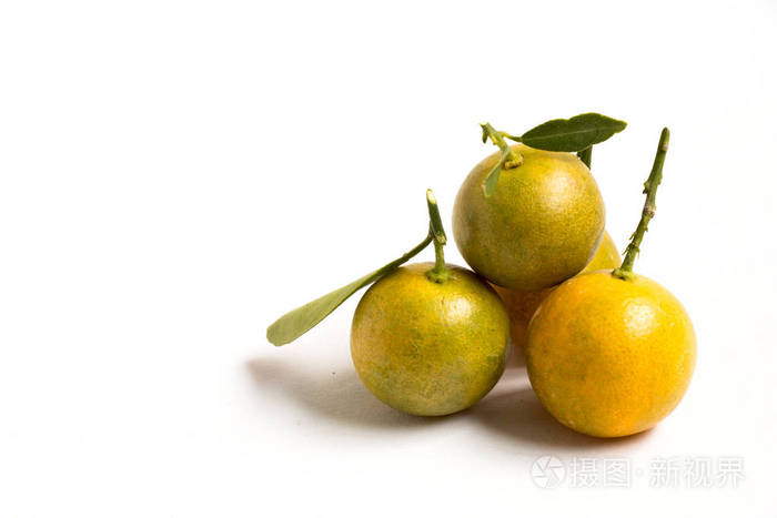 关闭的放在白色背景的金柑橙