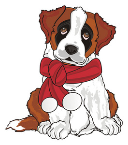 在白色背景前面的圣伯纳德和吉娃娃站在树旁的圣伯纳德狗两个圣伯纳狗