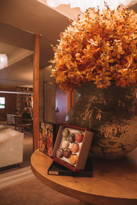 深色豪华酒店室内设计与经典家具。新加坡凯悦大酒店2017年4月10日