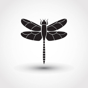 在背景上漂亮的 icon 蜻蜓矢量图照片