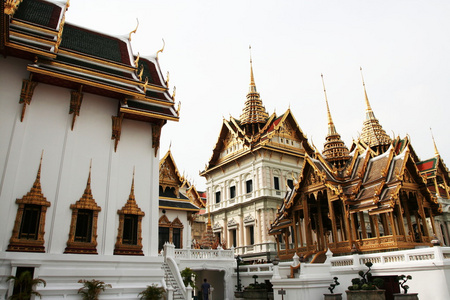 扇形棕榈细纤维 Bangkok 曼谷泰国首都