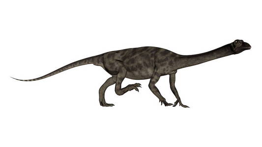 Anchisaurus 恐龙3d 渲染