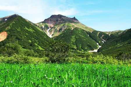 山地草原