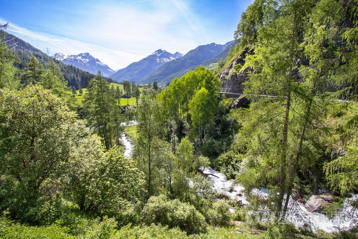 春季典型高山景观