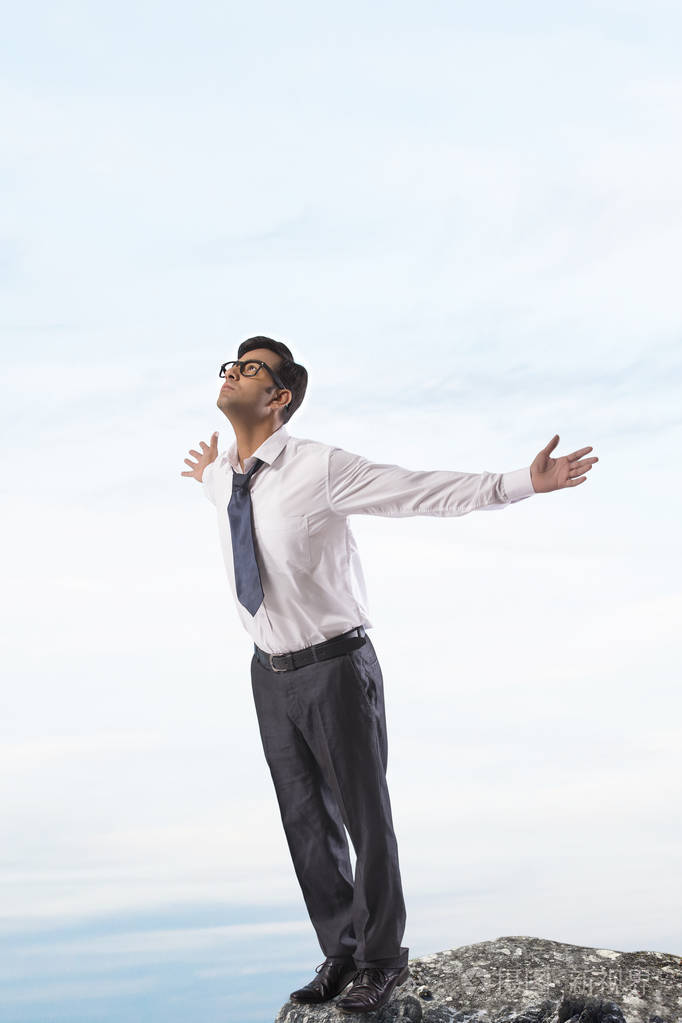 站在岩石顶端的企业