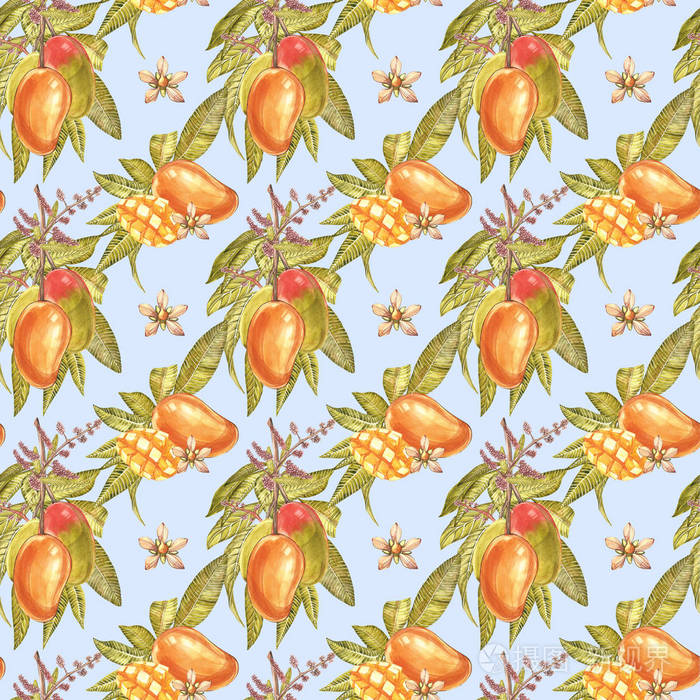 芒果树的老式无缝模式.芒果果实水彩植物插图