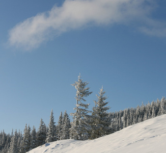 山区冬季