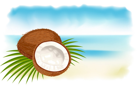 成熟的椰子，海洋和海滩。