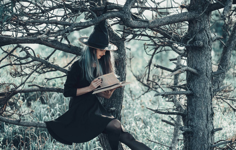 巫婆读一本书室外