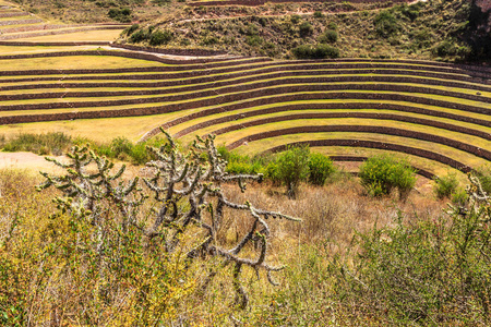 马里圆形, 圆形的历史印加 agriciltural 遗址上