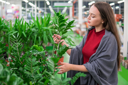 美丽的女人在花店买绿花植物