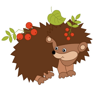 矢量可爱的卡通刺猬有叶子和果实插画