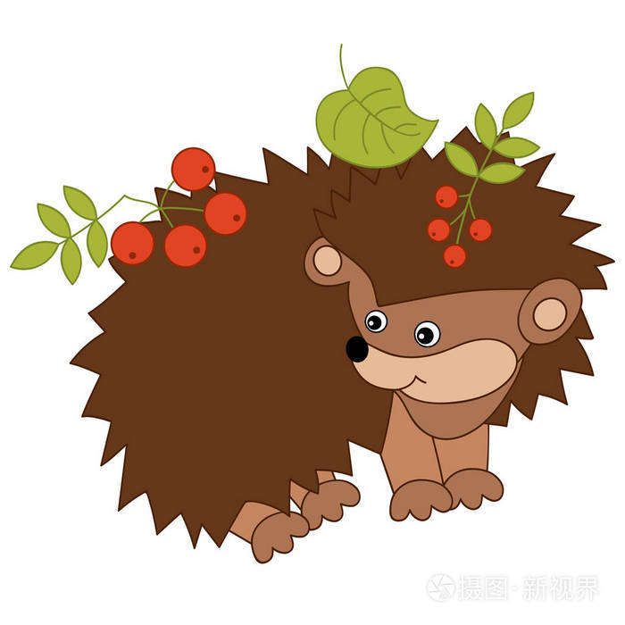 矢量可爱的卡通刺猬有叶子和果实