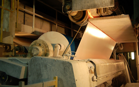 造纸和纸浆厂纸和纸浆厂-热电厂造纸和纸浆厂[动]鹬鸵,几维鸟,新西兰