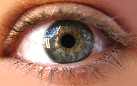 宏观图片中的蓝色虹膜眼. 特写照片