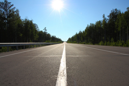 森林道路