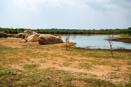 斯里兰卡亚拉国家公园景观