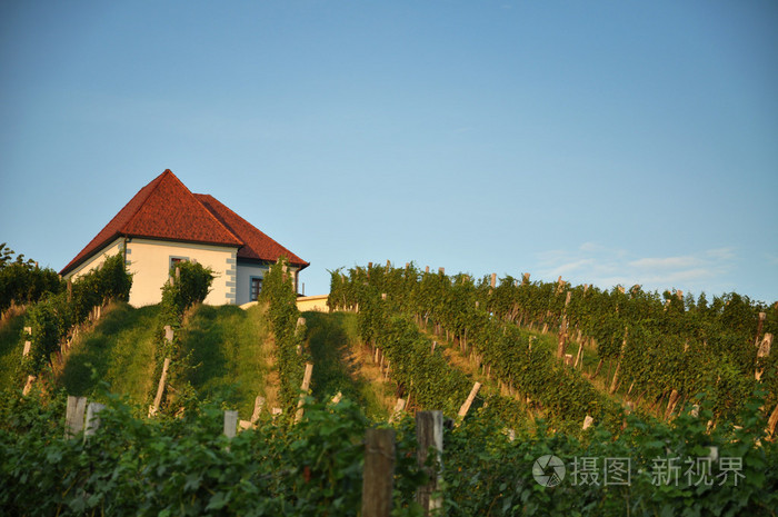 House in Vineyards. kalce, Slovenia