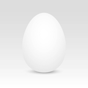 现实的白色鸡蛋与软阴影。矢量