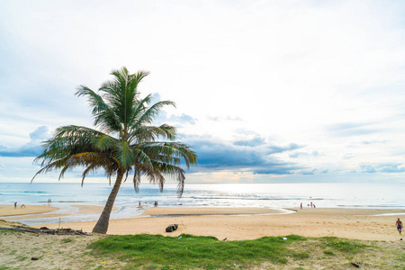 与热带海滩椰子树