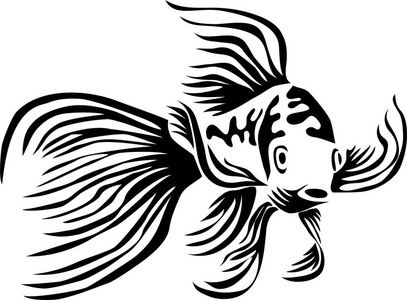 锦鲤鱼程式化的黑白矢量插图照片