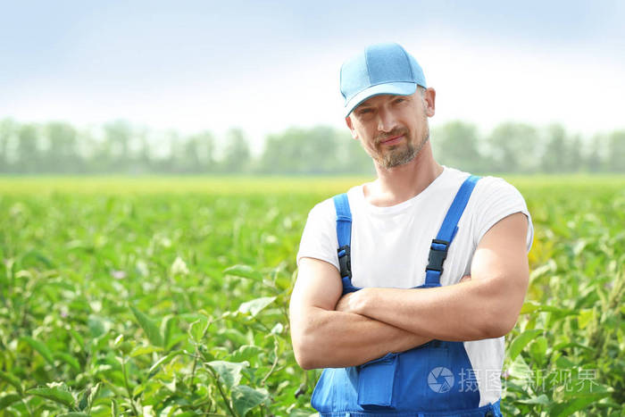 男性农夫站立在领域