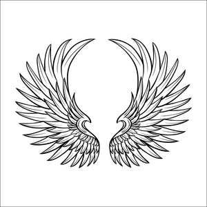 黑色和白色的孤立的翅膀图形样式照片