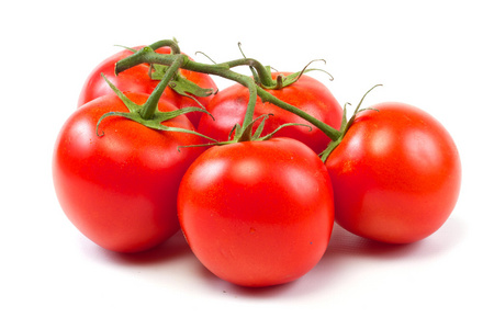 白色背景下分离的番茄分支