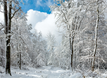 冰雪覆盖的冬季大地