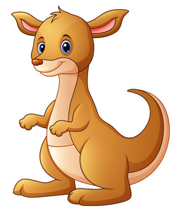 袋鼠的爱可爱的袋鼠卡通矢量插画照片