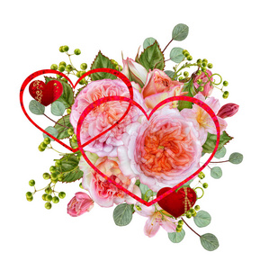 花圈嫩粉色的花朵和枝具绿色的叶画水彩对白色背景, 贺卡, 装饰明信片