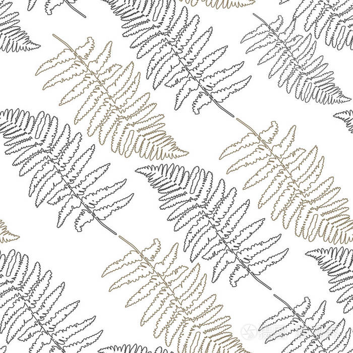 蕨类植物叶片的载体图解设计.手绘写实插画