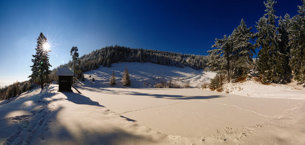 冬季景观与雪湖水獭图片