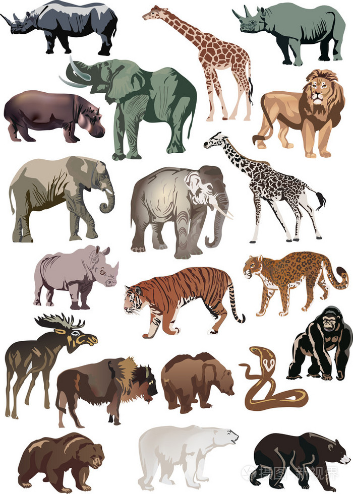 颜色动物大集合