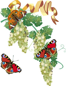 绿葡萄和红蝴蝶