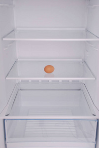 一只鸡蛋在空旷的冰箱里