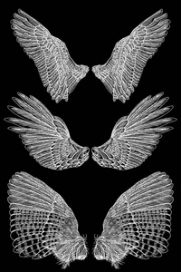 天使或鸟的翅膀套