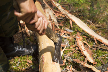 森林行业利用的设备：刀片式服务器印章和工具