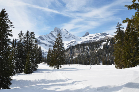 雪 Braunwald 景观